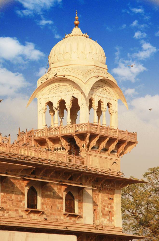 12885911_10153685639513853_470318711083643549_o