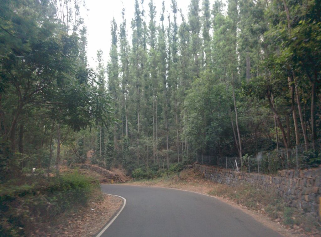 Saarr Some Idli and Filter Kaapi Pleeeeej !! –&nbsp;Yercaud