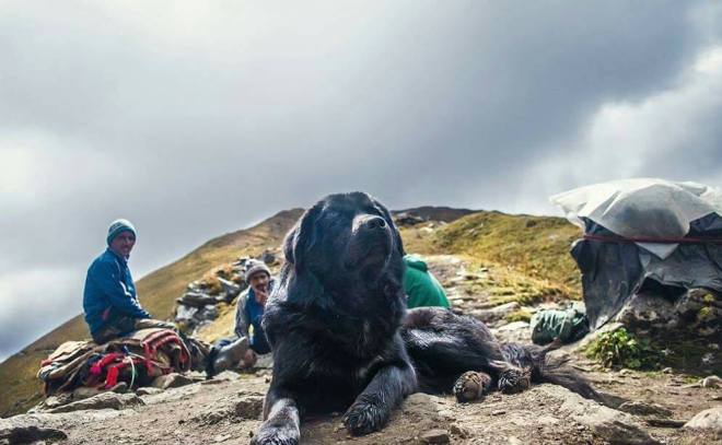 15591415_10153967863875706_4659978376575776294_o