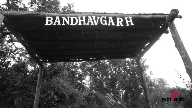 Bow Down to the King –&nbsp;Bandhavgarh