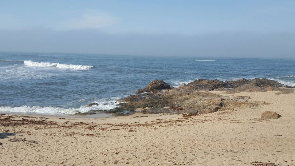 Coast of Portugal