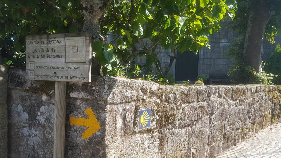 Follow the Yellow Arrows to Santiago