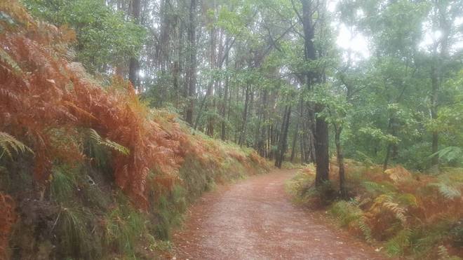 On the Camino de Santiago