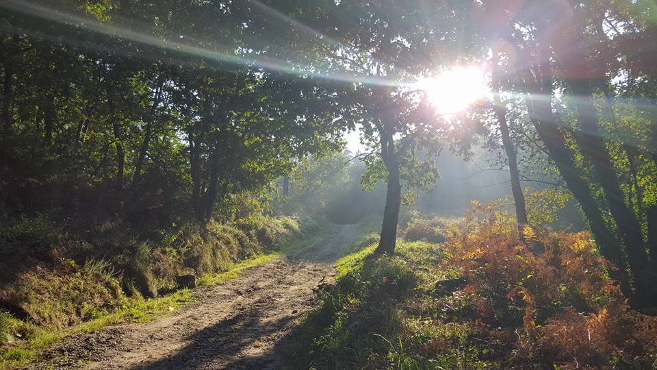 Guest Post || Walking the way of St. James through Portugal and Spain – by Kay&nbsp;Bolden