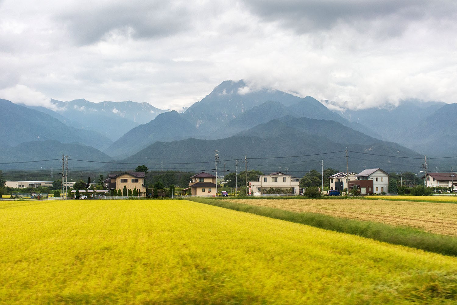 train-view