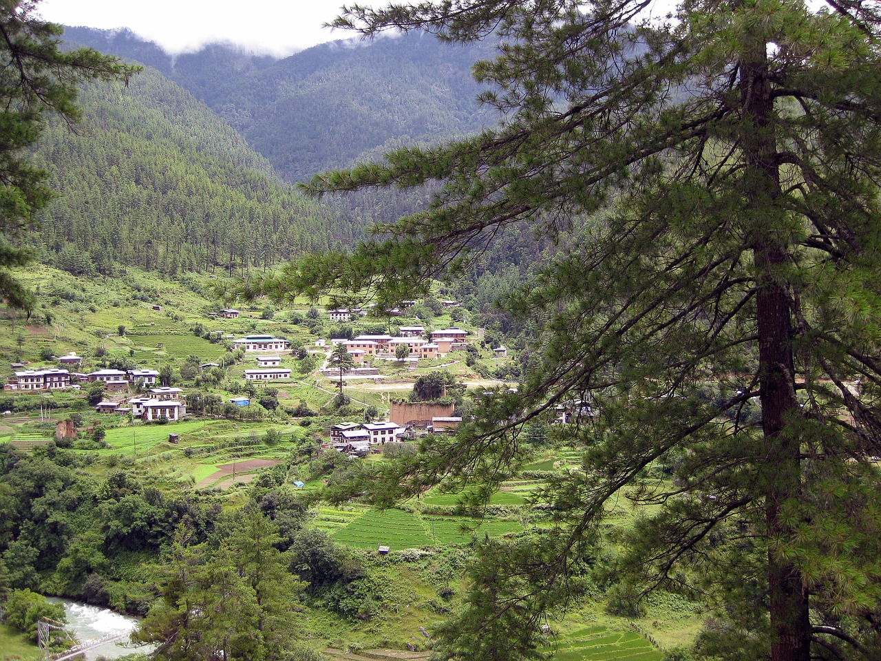 bhutan-669955_1280