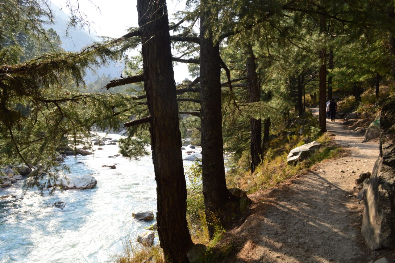 Yatripandit Kasol