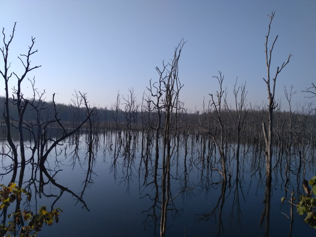 Barnawapara – A not so famous Wildlife Sanctuary