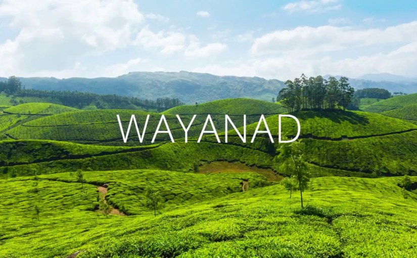 Guest Post || Things you should Know before Booking your Resort in Wayanad by&nbsp;Krishnendu