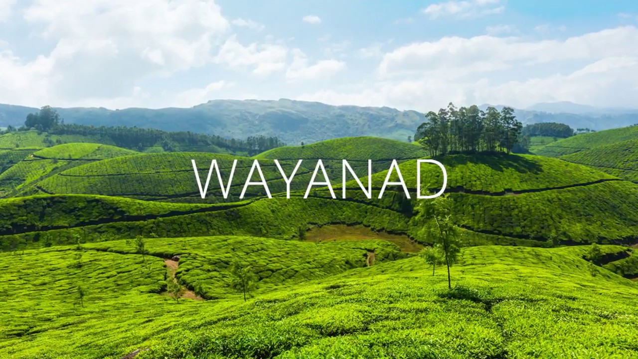 wayanad 2