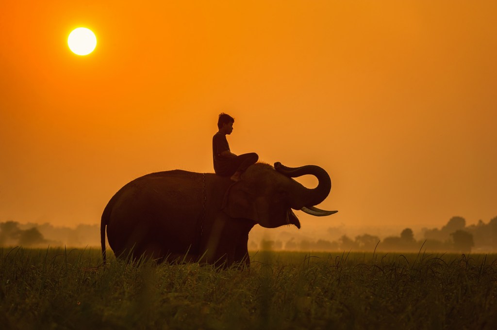 Guest Post || Recreation And Safari In Tanzania. What You Need To Know When Sending Tourists To Africa by&nbsp;Emma