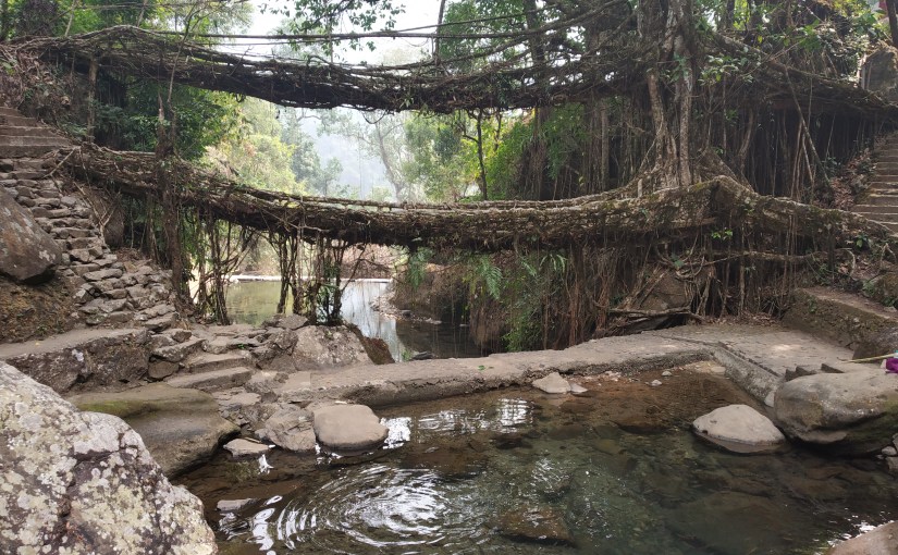 Part#4–Unleashing Northeast India–Land Of Lama, Rains, Rhinos and Momos by&nbsp;Abhimanyu