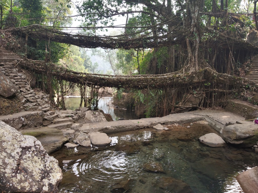 Part#4–Unleashing Northeast India–Land Of Lama, Rains, Rhinos and Momos by&nbsp;Abhimanyu